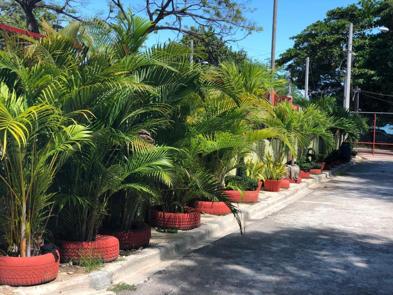 Hotel Guarocuya De Barahona Bagian luar foto